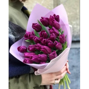 Букет фиолетовых тюльпанов 